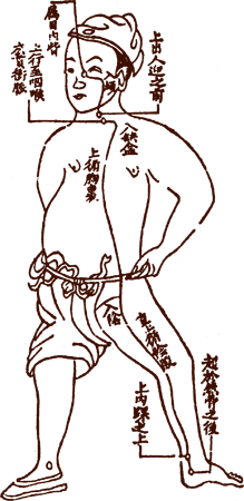 Yin Qiao Meridian������ͼ����